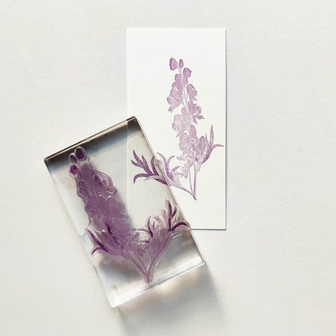 Biology Stamp 欧洲乌头 - 印章/印台 - 树脂 透明