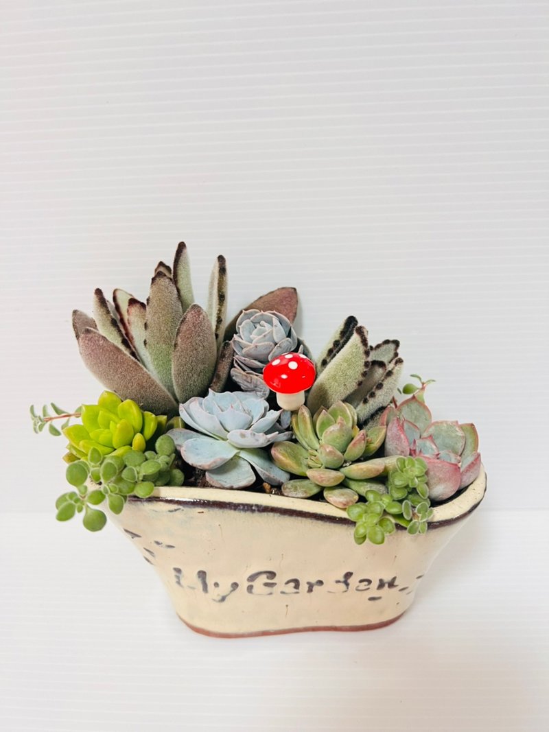 送礼首选 乡村风 定制花盆 开幕志庆 新居落成 交换礼 - 花瓶/陶器 - 陶 白色