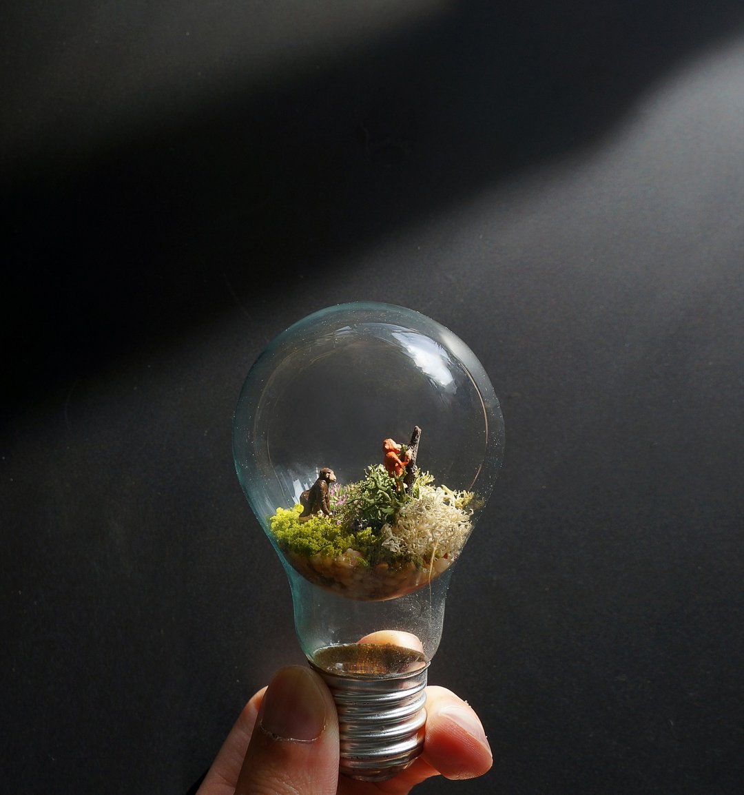 反重力苔灯泡 - 摆饰 - 玻璃 多色
