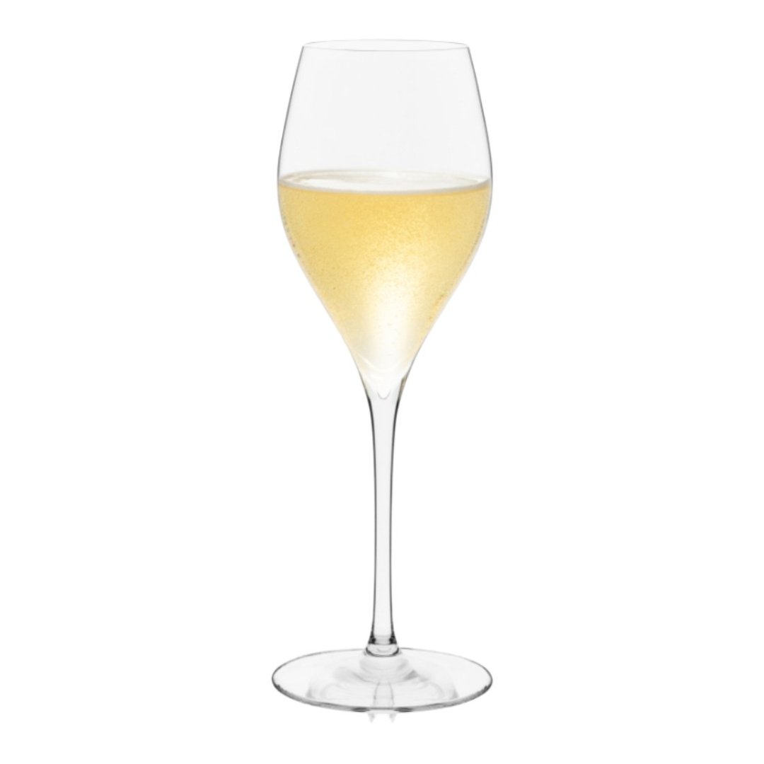 【RONA】斯洛伐克 Universal 香槟杯 290ml - 酒杯/酒器 - 玻璃 