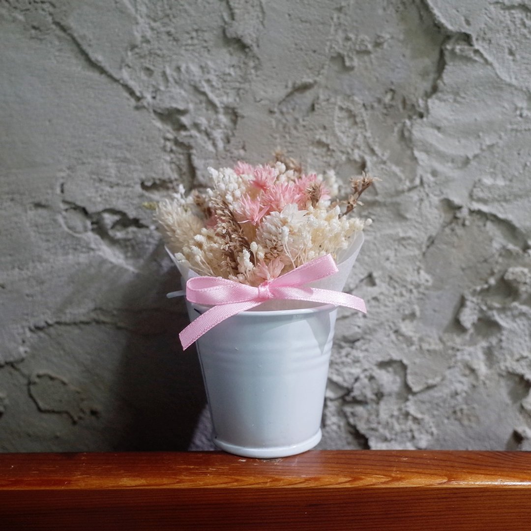 【Q-cute】干燥花小盆花系列-星光点点 - 植栽/盆栽 - 植物．花 白色