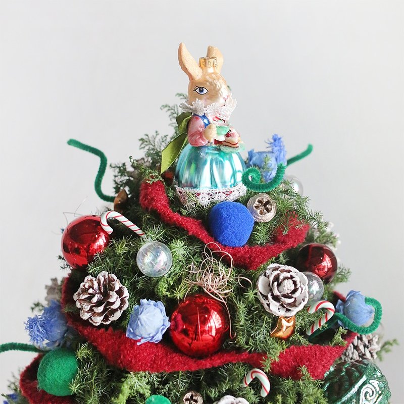 圣诞小树 - 手作体验课程 - 植栽 - 植物．花 