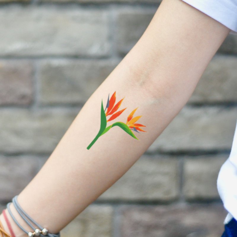 OhMyTat 天堂极乐鸟 Bird Of Paradise 刺青图案纹身贴纸 (2 张) - 纹身贴 - 纸 多色