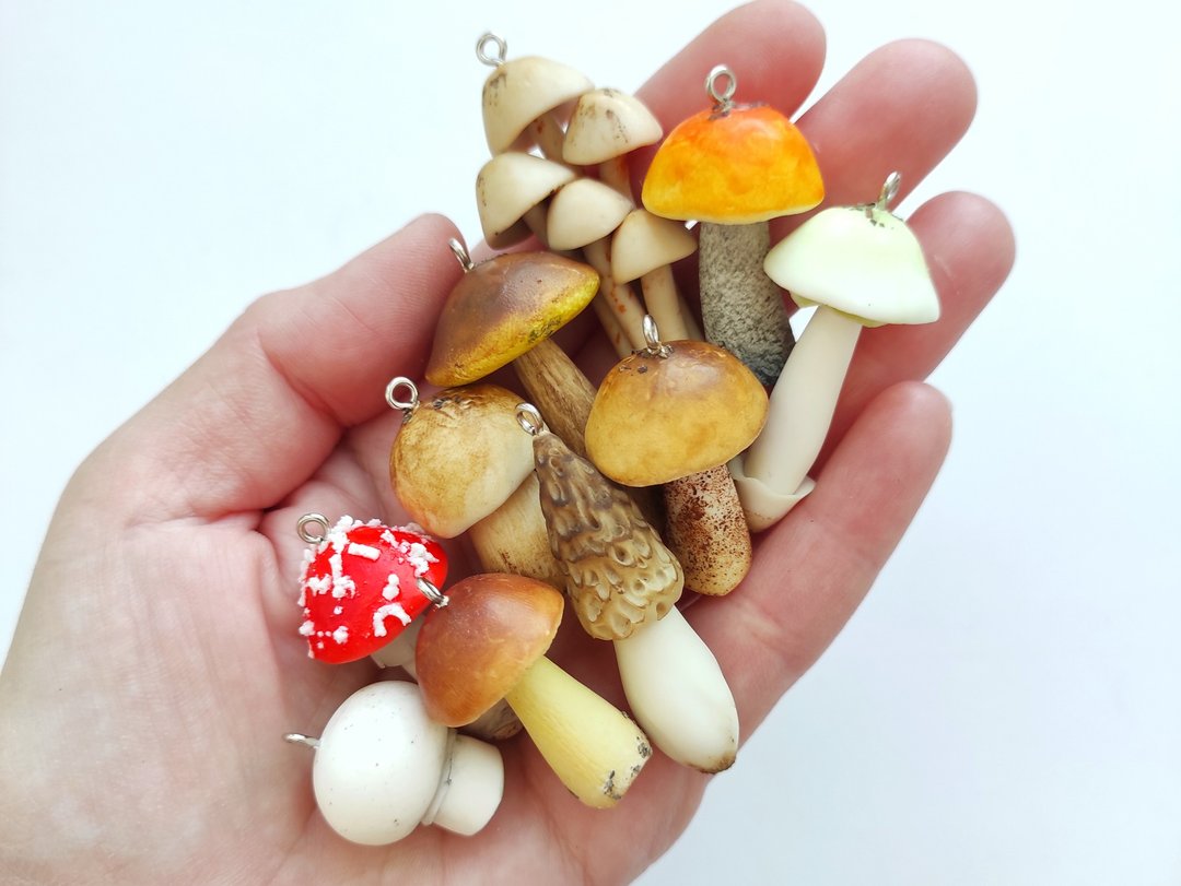 Mushrooms made from polymer clay - magic mushroom - tiny mushroom - fairy garden - 徽章/别针 - 粘土 多色