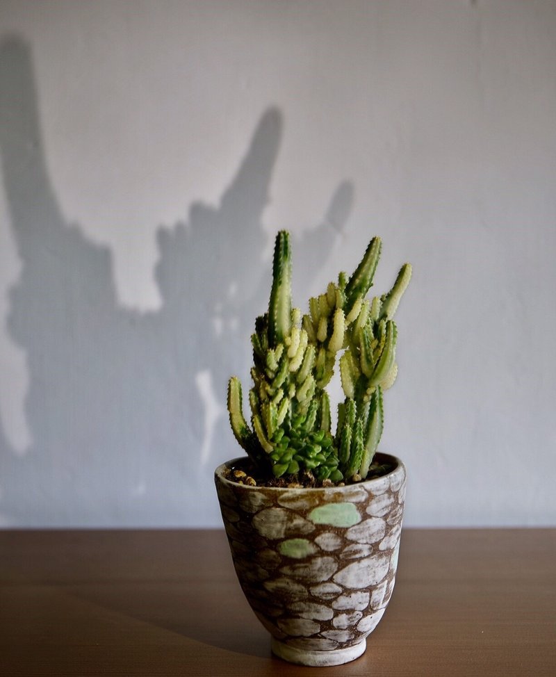 鞋底下的白色鹅卵石_陶器花器盆栽 - 植栽/盆栽 - 陶 咖啡色