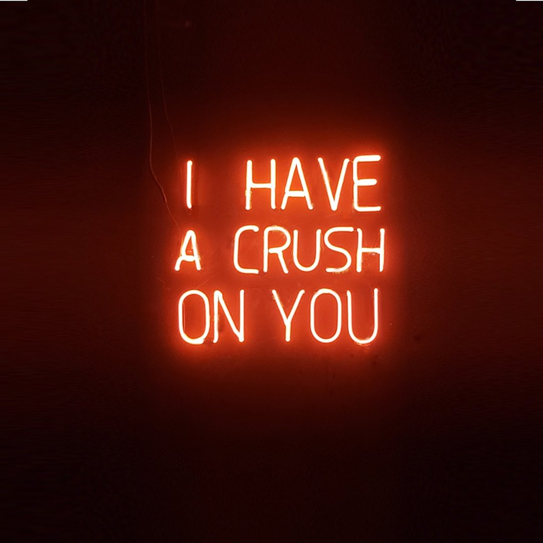 I HAVE A CRUSH ON YOU霓虹灯LED发光字Neon Sign广告餐厅酒吧 - 灯具/灯饰 - 压克力 透明