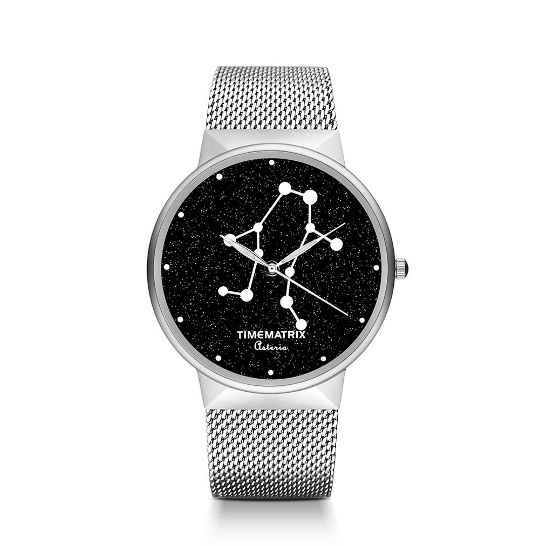 【丹麦星彩宝石】双子座 Time Matrix 星座创意时尚男女石英手表 - 男表/中性表 - 不锈钢 银色