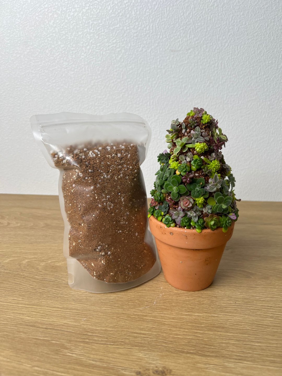 多肉植物黏性培养土 1L 轻松种植立体植物 - 植栽/盆栽 - 植物．花 