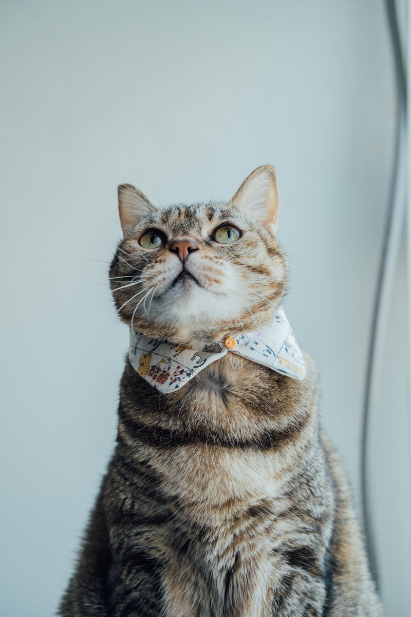 宠物刺绣领巾 - 编织/羊毛毡/布艺 - 棉．麻 