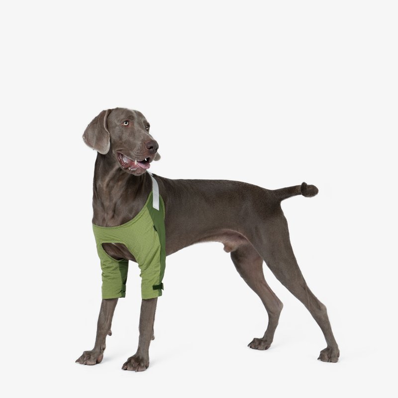 bump up【Elbow Pad】宠物狗狗中大型犬护肘衣服时尚轻薄透气 - 衣/帽 - 尼龙 绿色