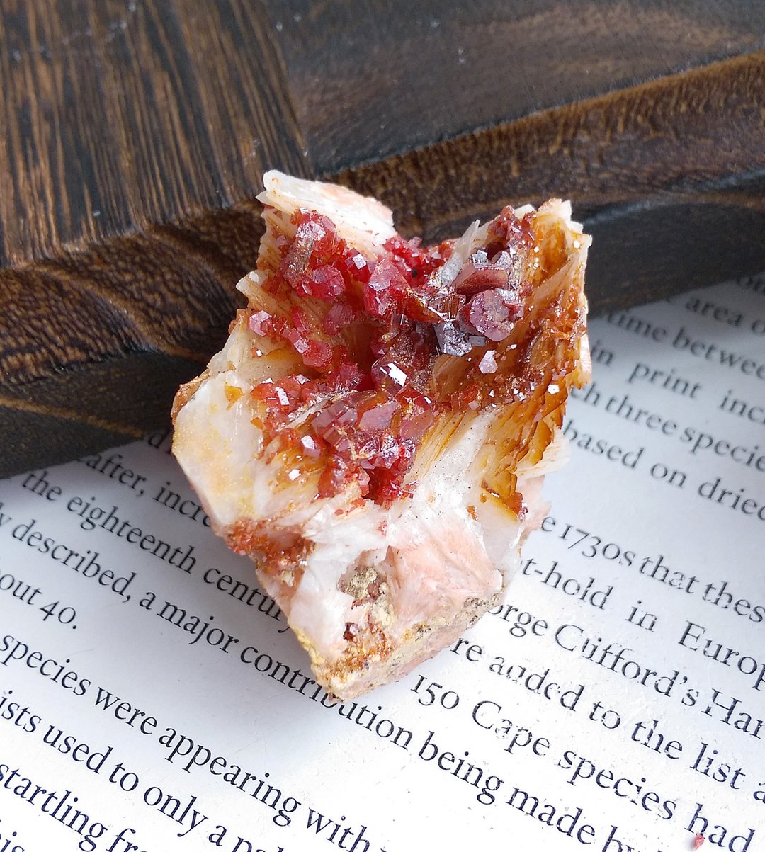 Vanadinite 摩洛哥产地 钒铅矿 天然矿石 原矿 - 摆饰 - 其他材质 