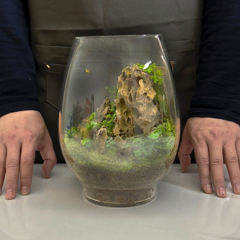 新品上市 静山之境 / 龙蛋款 定制化造景生态盆 - 植栽/盆栽 - 植物．花 