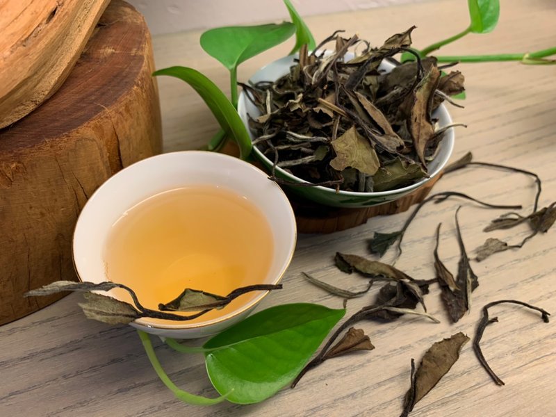 酽韵逸品【2021野生碳焙小白茶】 - 茶 - 植物．花 卡其色