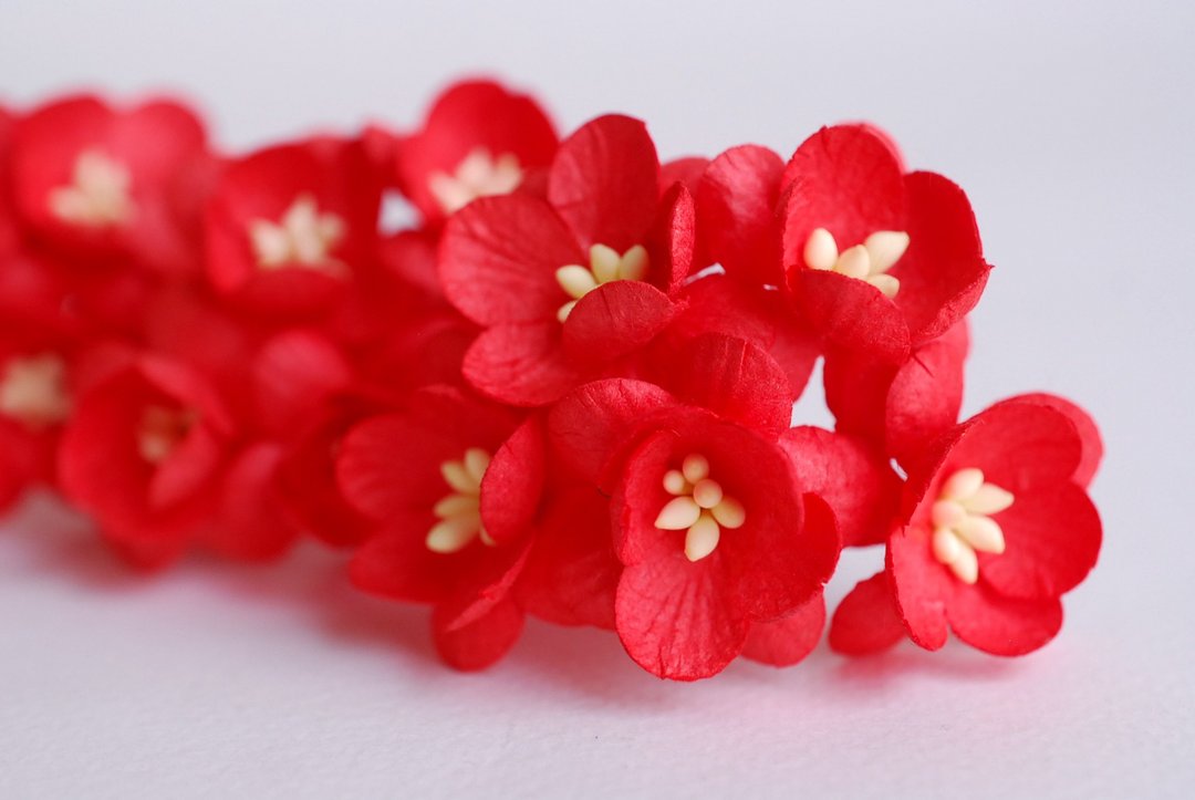Paper flower, 50 pieces, size 2.5 cm. Cherry blossom, Sakura, red color. - 木工/竹艺/纸艺 - 纸 红色