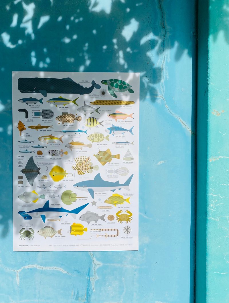 澎湖石沪生态图鉴海报 - 海报/装饰画/版画 - 纸 蓝色