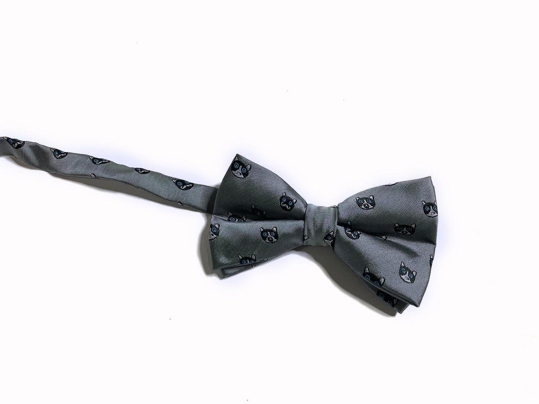 奔驰猫 领结 Bow ties - 领结/领巾 - 聚酯纤维 灰色