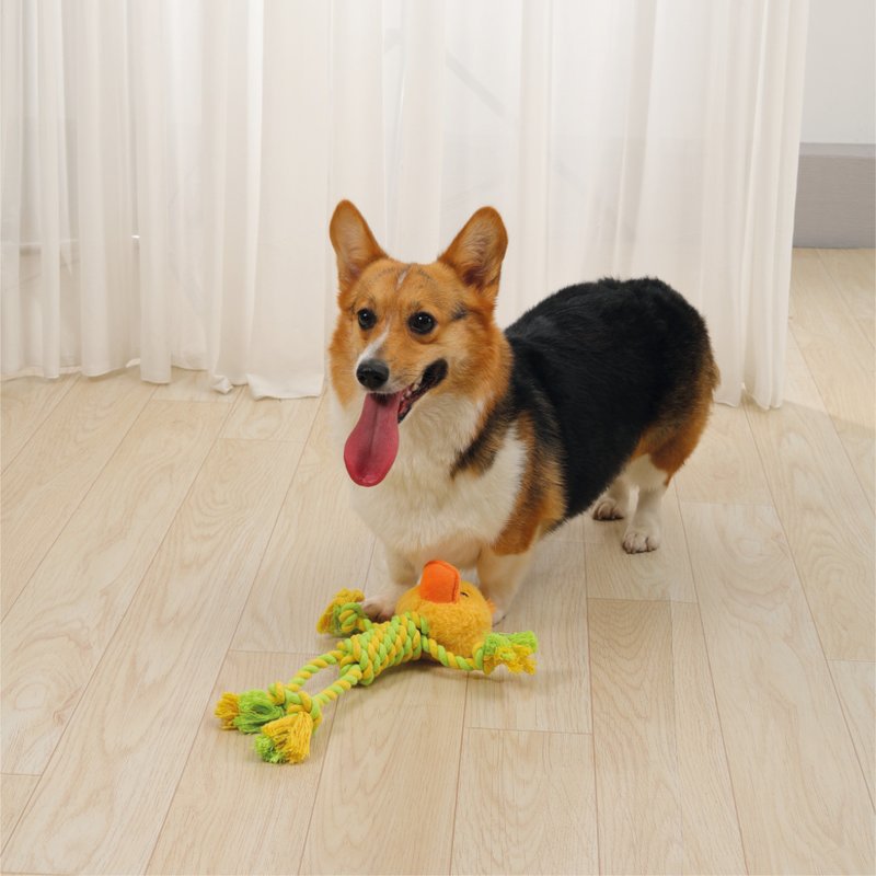 【MPETS】造型可爱 ! ECO犬用吱吱玩具-动物狂欢 - 玩具 - 其他材质 