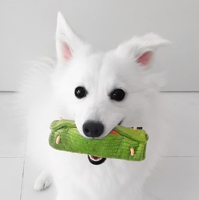 Furball Otah Squeakie Chew Toy - 玩具 - 棉．麻 绿色