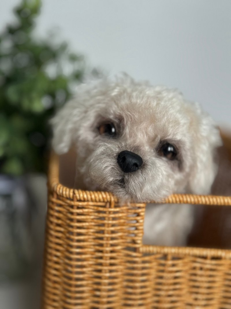 逼真的毛绒玩具小狗 - 玩偶/公仔 - 其他材质 白色