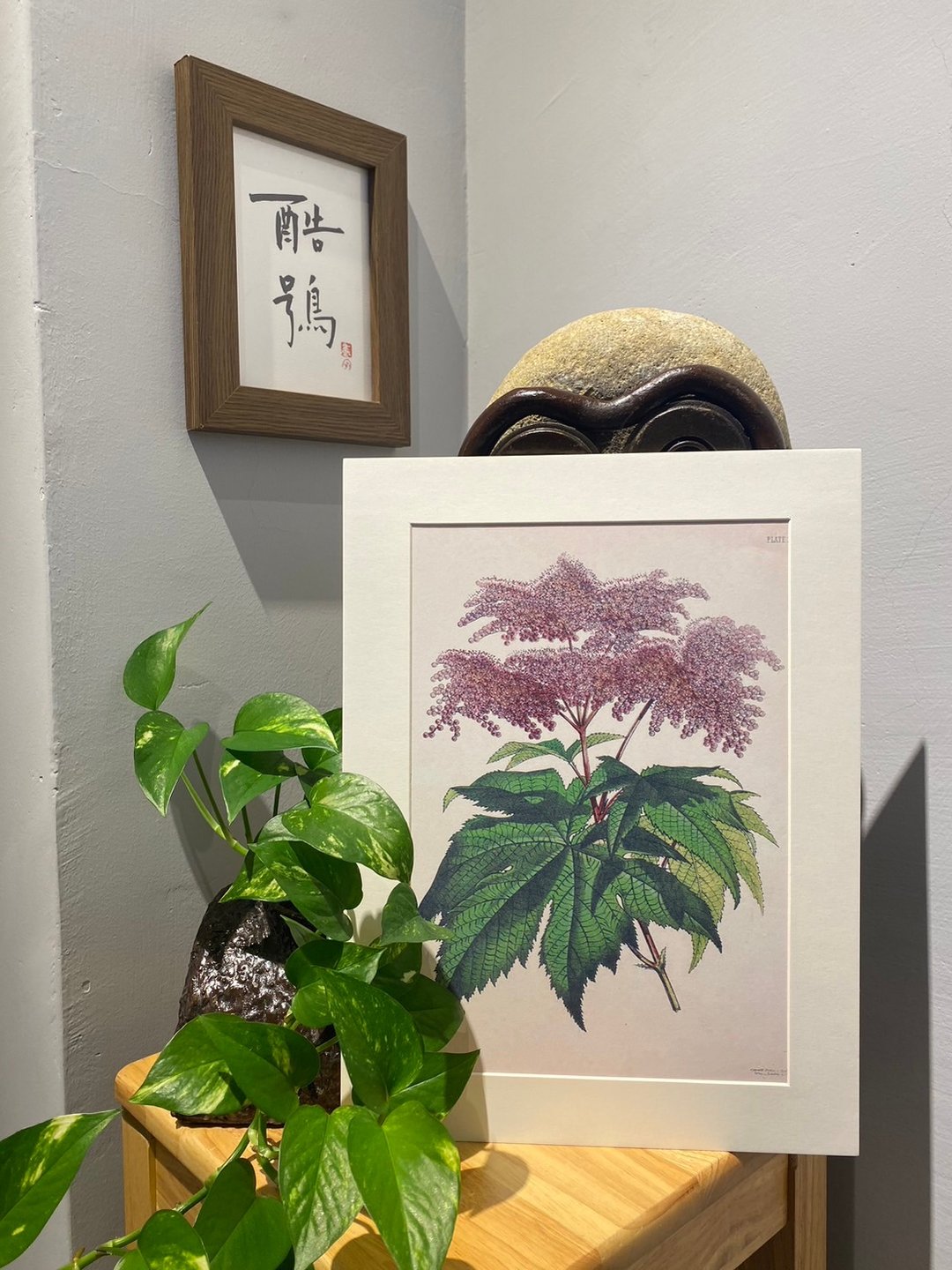本店独立印制英国古典植物图鉴  Flower Garden花卉插画 - 海报/装饰画/版画 - 纸 