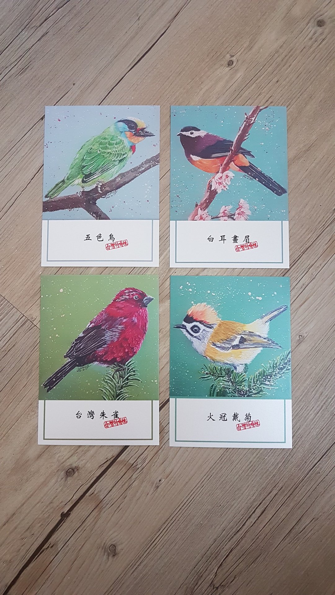 台湾特有种明信片/五色鸟/白耳画眉/台湾朱雀/火冠戴菊 - 卡片/明信片 - 纸 多色