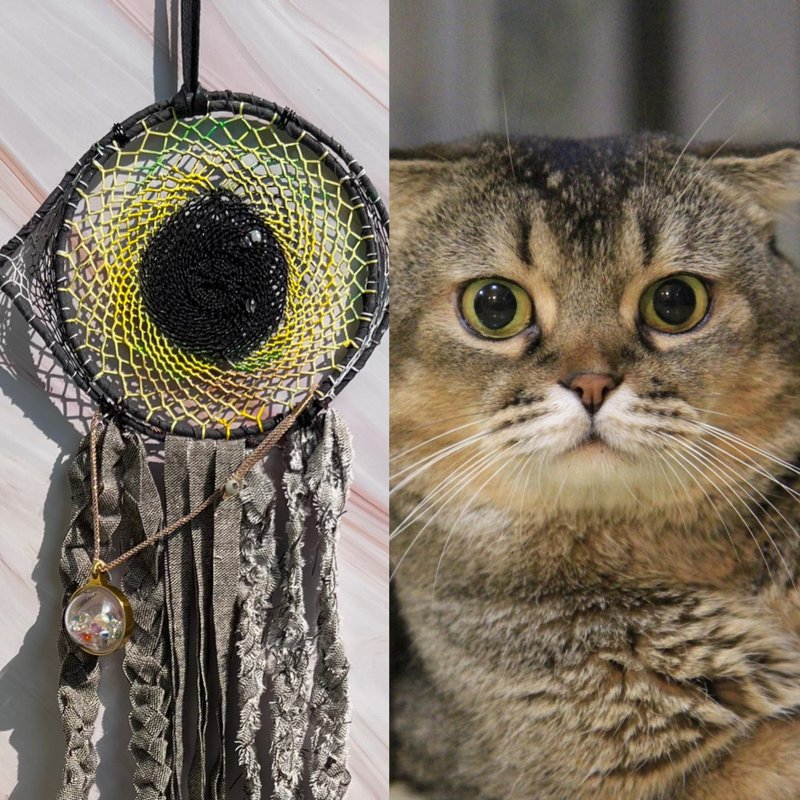 宠物纪念 定制化捕梦网 Pet Memorial Dreamcatcher - 墙贴/壁贴 - 其他材质 卡其色