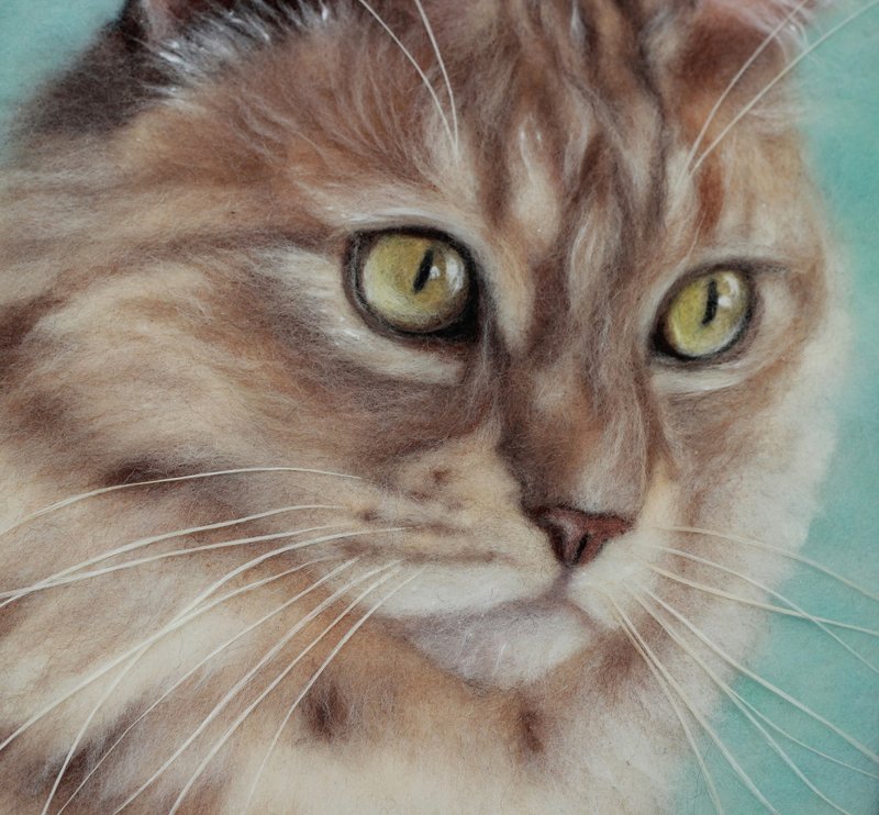 照片中的逼真毛毡猫肖像，圣诞礼品包装，定制礼物 - 订制画像 - 羊毛 卡其色