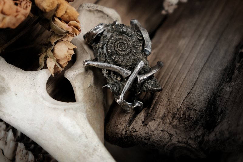 【山骸纪】回声I-黄铁矿菊石项链 - 项链 - 银 银色