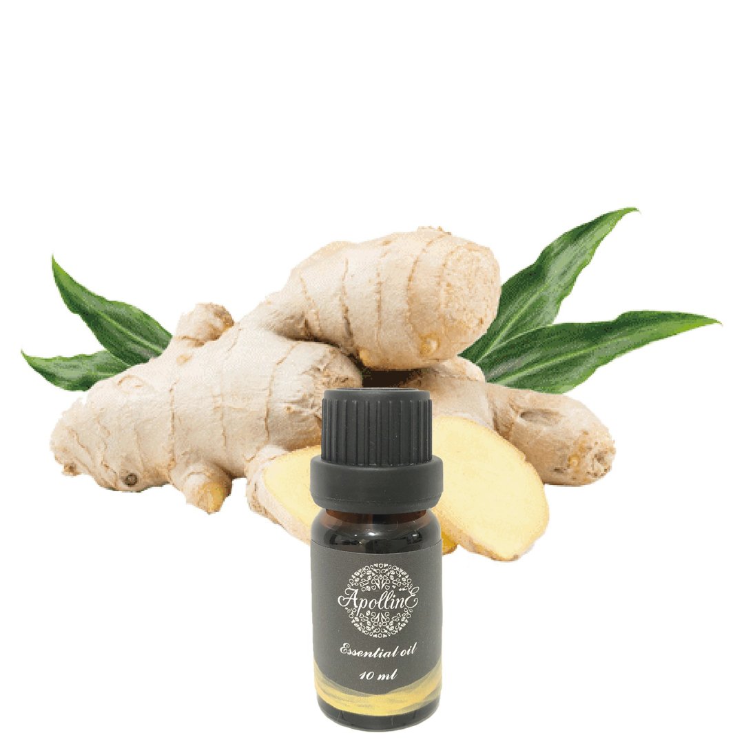 姜精油 GINGER - 香薰/精油/线香 - 精油 