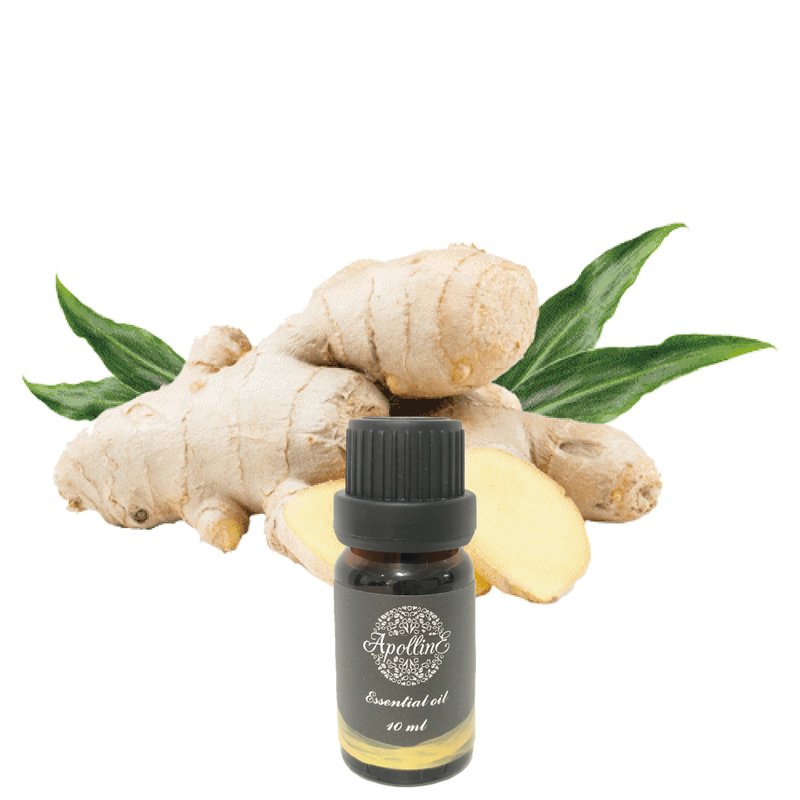 姜精油 GINGER - 香薰/精油/线香 - 精油 