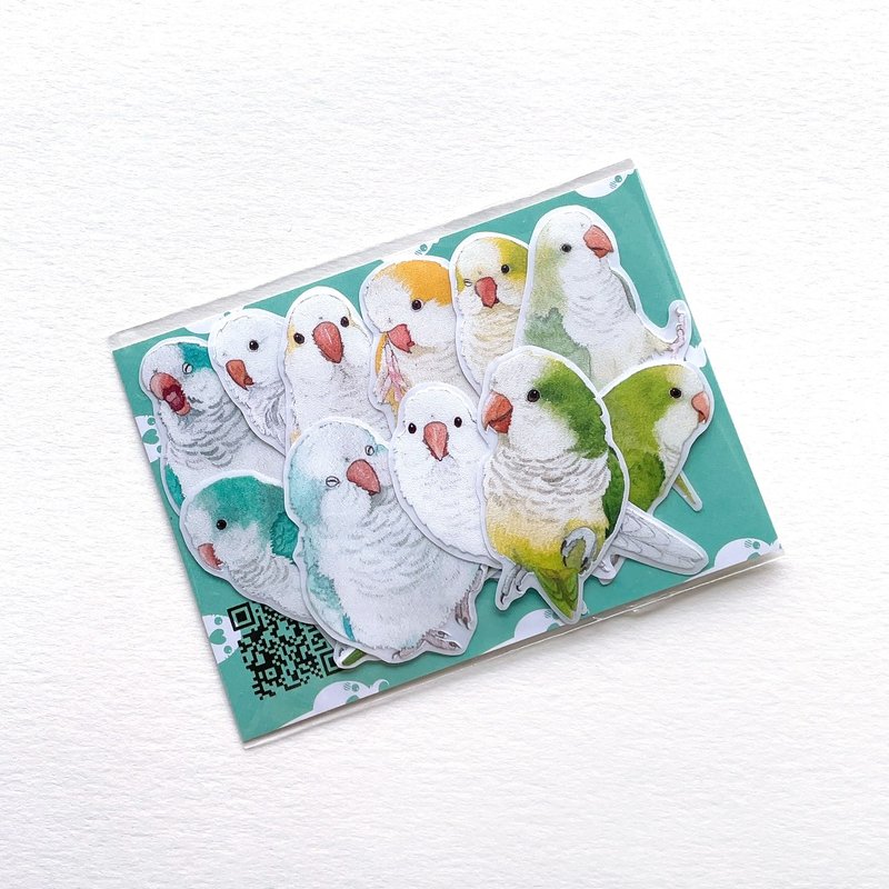 Rolia's 手作 和尚鹦鹉 防水透明白墨贴纸(11小张套组) - 贴纸 - 塑料 