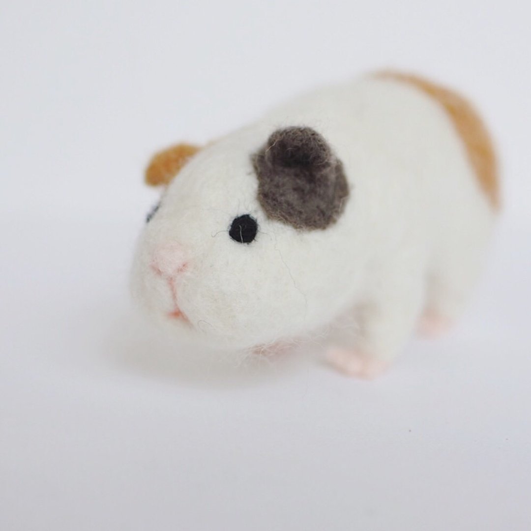 Guinea pig - 玩偶/公仔 - 羊毛 白色