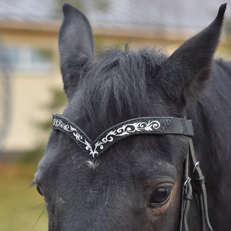 Black leather browband for horses draft pony. Handmade Brow band with hand-paint - 其他 - 真皮 银色
