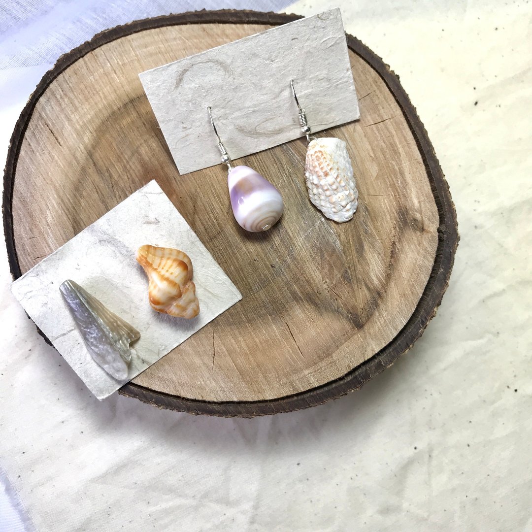 【SISIRE |永续系列】各式各样的神奇贝壳 耳环 - 耳环/耳夹 - 贝壳 