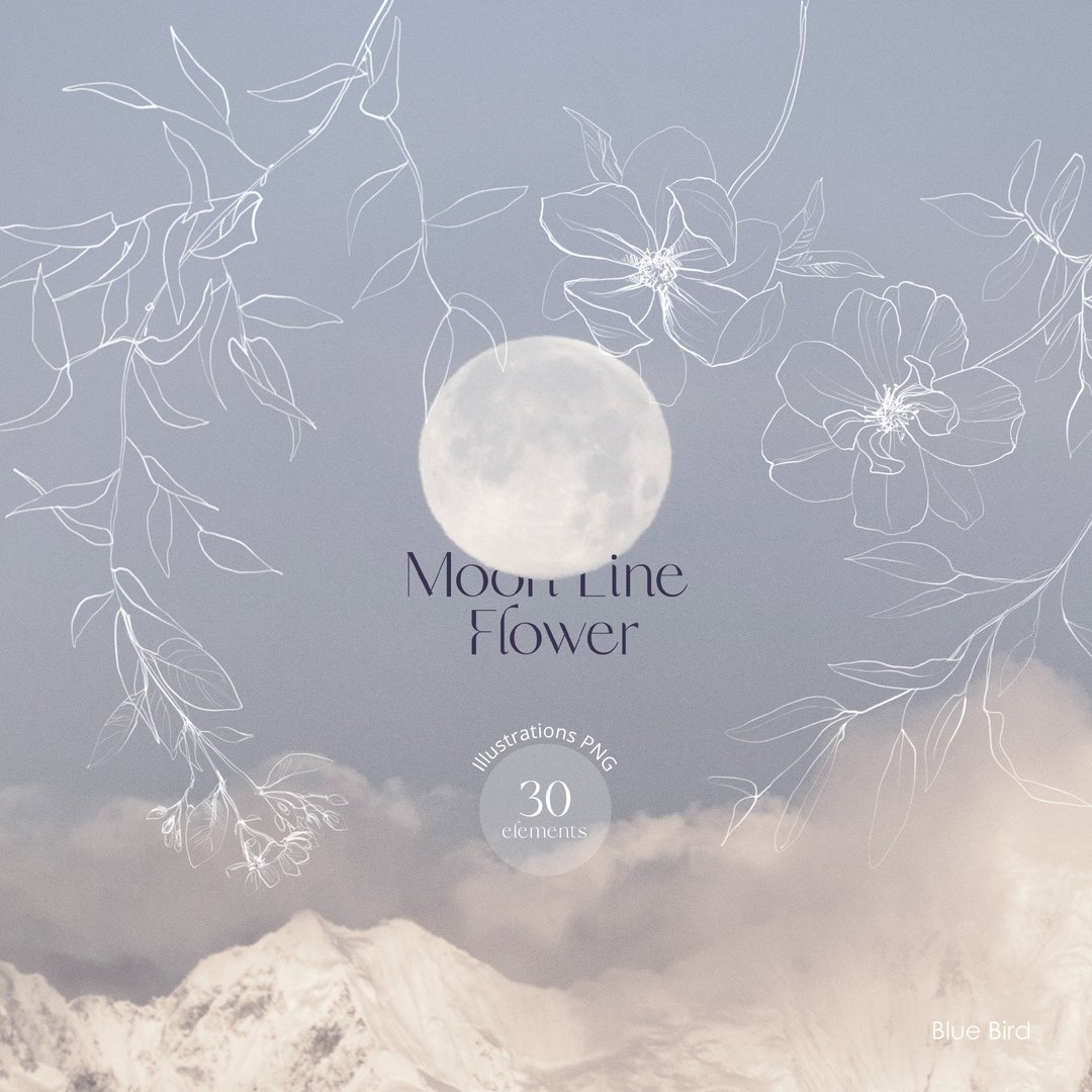 Moon Line Flower. Digital botanical collection - 其他数码设计 - 其他材质 