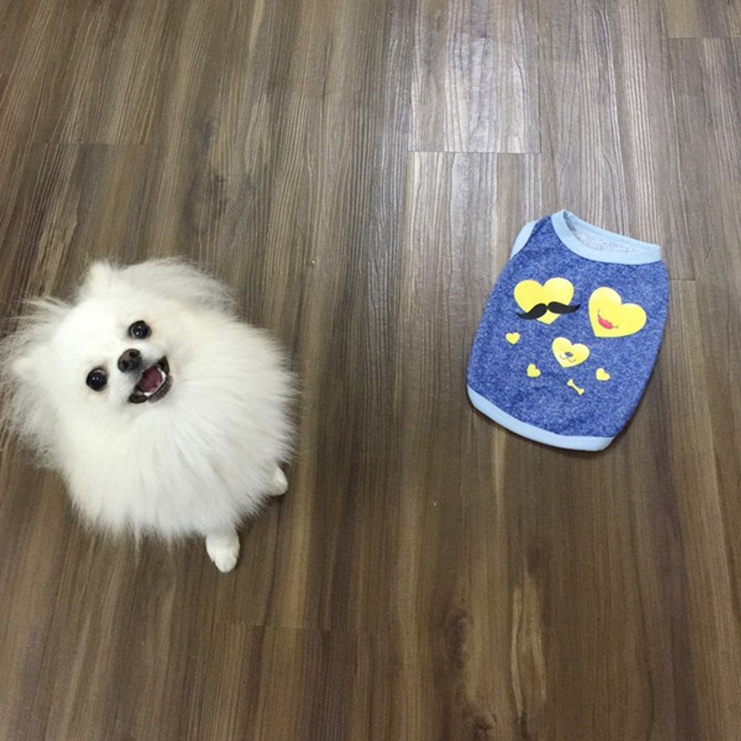 NINKYPUP 毛孩手工反光衣 订制猫猫狗狗姓名 幸福汪汪 - 衣/帽 - 防水材质 红色
