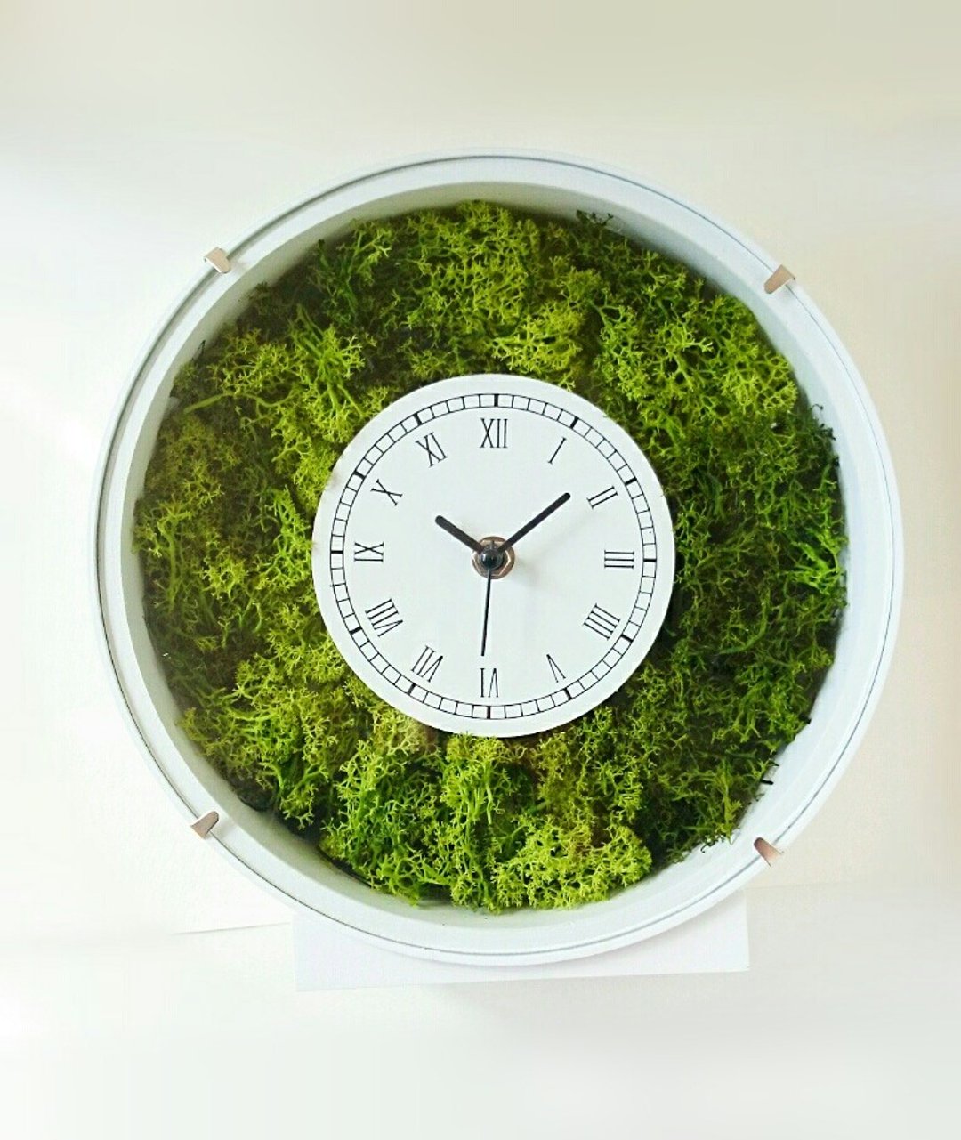 白色圆形苔藓时钟 : 芬兰天然苔藓款式 - 时钟/闹钟 - 木头 绿色