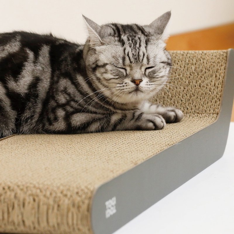 CB Japan hachi 宠物宝贝系列猫抓板(三款可选) - 抓板/跳台 - 纸 