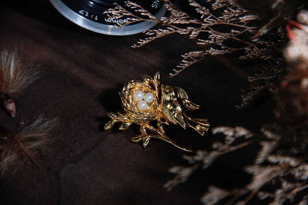 【古董饰品/西洋老件】美国AVON古董珠宝 金色鸟巢 古董胸针 - 胸针 - 其他金属 金色