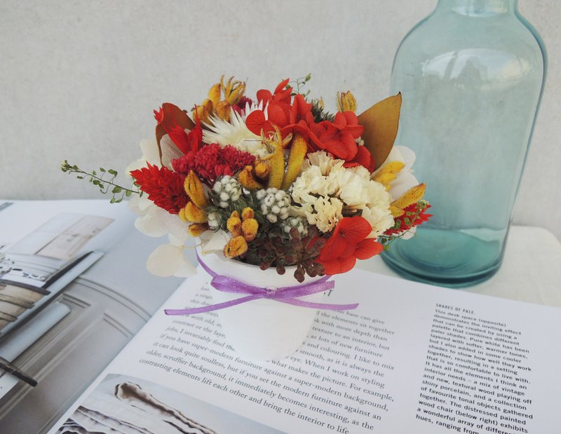 微甜·圈 手作 小品系列 典雅女孩 不凋红绣球 澳洲袋鼠花 星辰 珍珠草 毕业季 盆花 小盆花 桌上小物 开幕礼 现货 - 摆饰 - 其他材质 红色