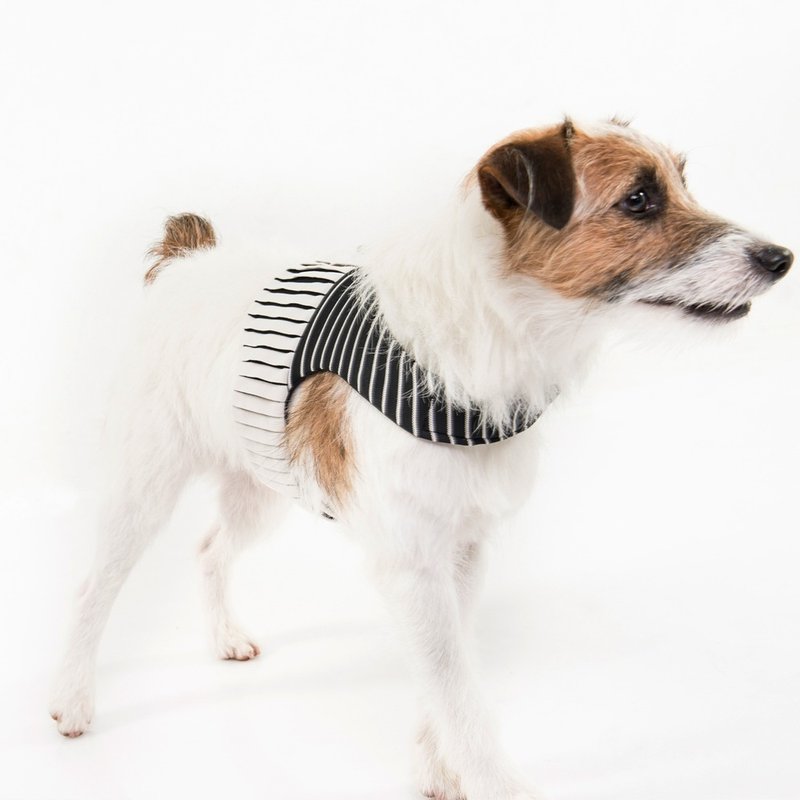 胸背衣+拉绳 Orange Blinks 启动冒险条纹拼图 L (XS/S/M完售) - 衣/帽 - 棉．麻 