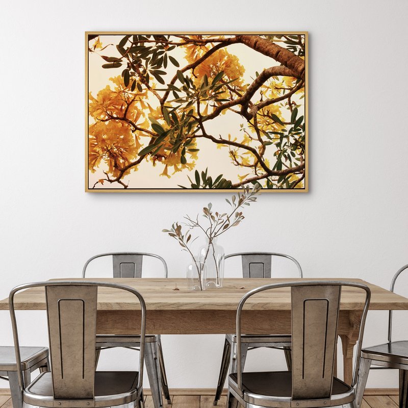 金黄盛宴I - 黄金风铃木摄影挂画/植物装饰画/角落摆设布置/挂画 - 海报/装饰画/版画 - 棉．麻 多色