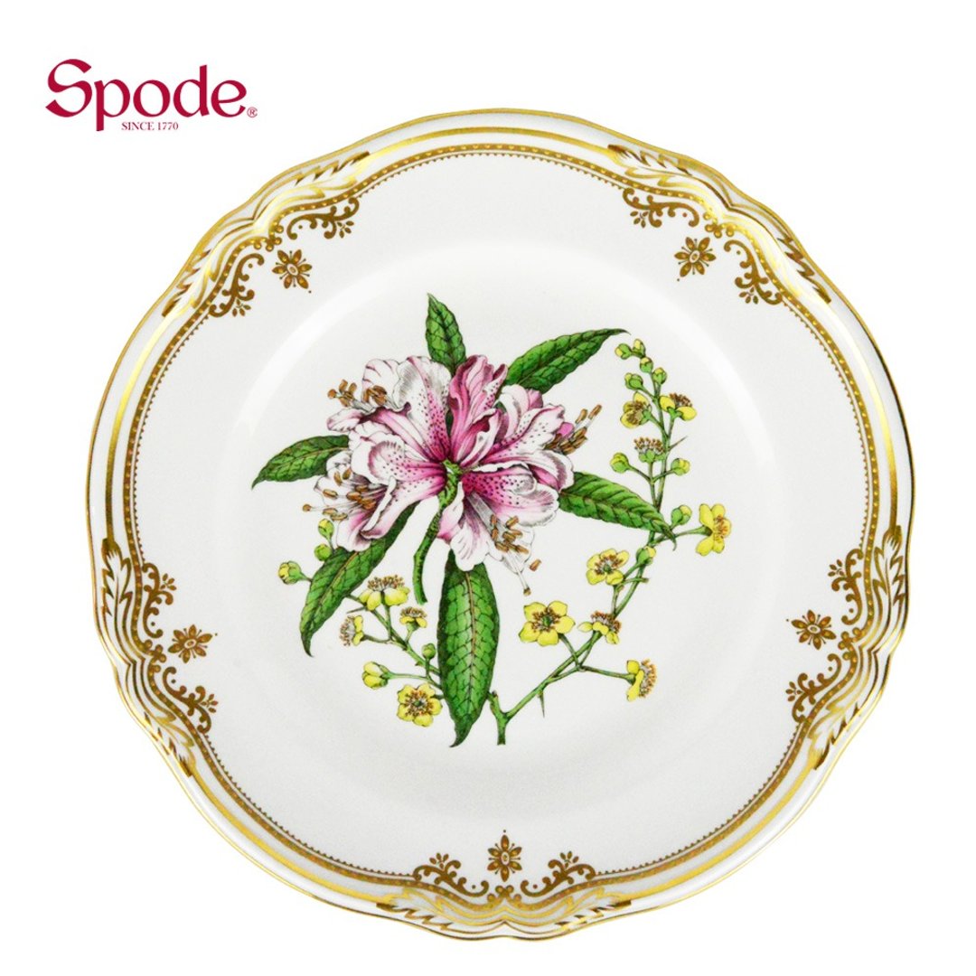 英国Spode-Stafford Flowers斯塔福之花系列-23.5cm盘 - 盘子/餐盘/盘架 - 瓷 白色