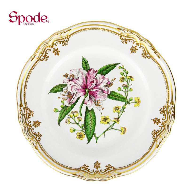 英国Spode-Stafford Flowers斯塔福之花系列-23.5cm盘 - 盘子/餐盘/盘架 - 瓷 白色