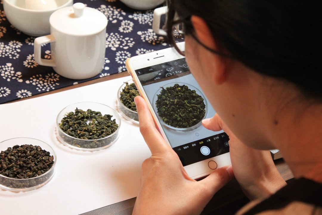 【在线班】茶艺师的玩茶小日子・初级概念班 - 摄影/心灵/讲座 - 其他材质 