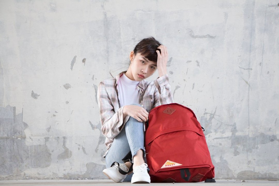 Daypack 经典休闲后背包(14色) - 后背包/双肩包 - 尼龙 红色