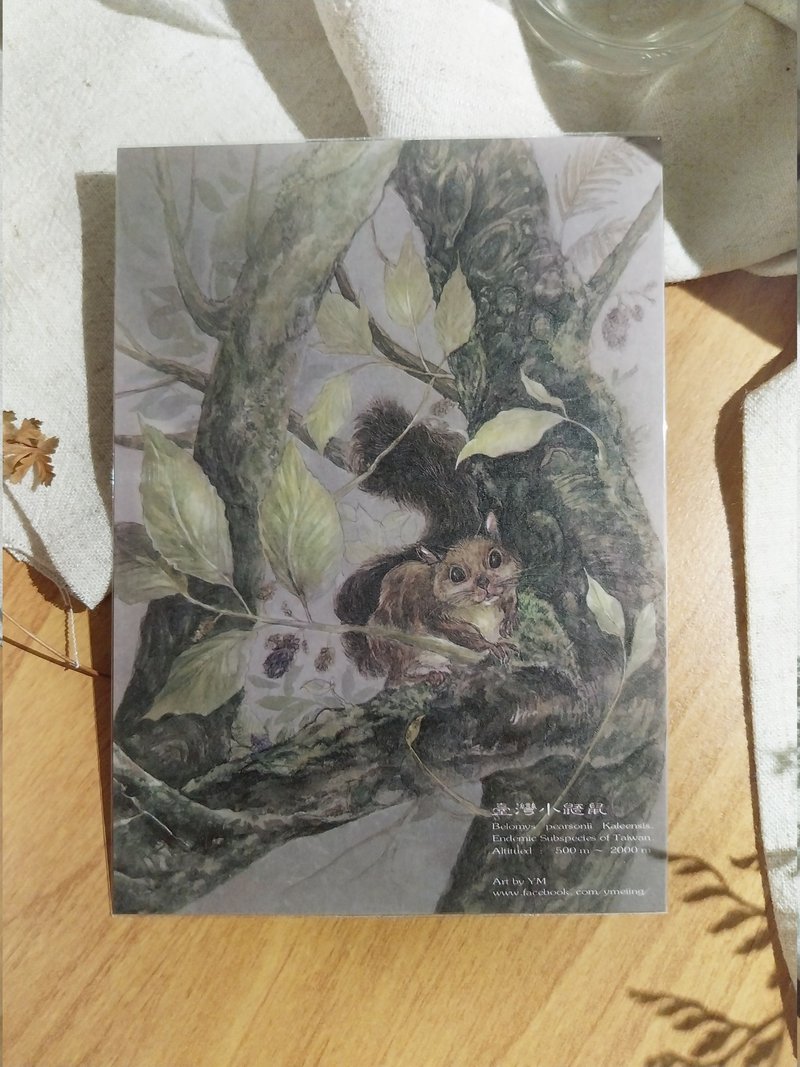 台湾小鼯鼠-台湾特有动物系列-特有亚种(毛耳飞鼠) 台湾 明信片 - 卡片/明信片 - 纸 