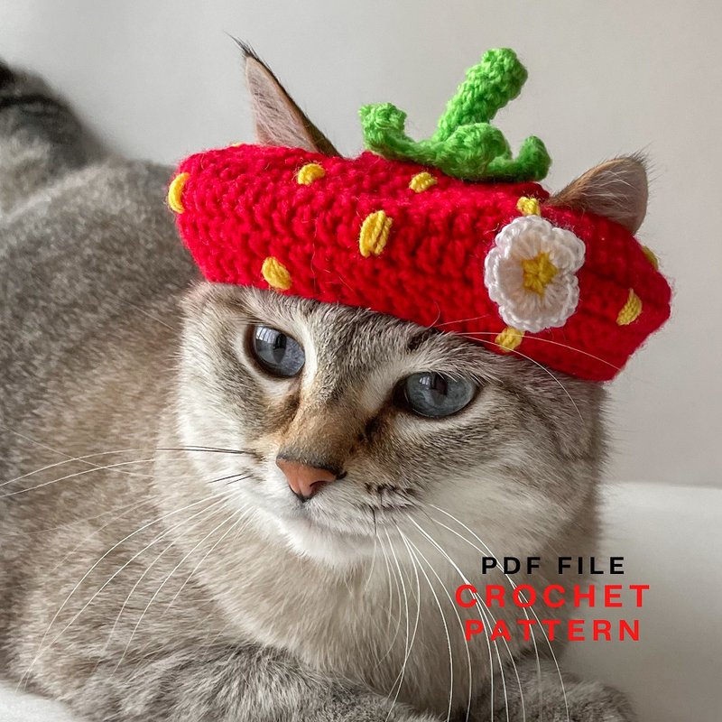 Strawberry hat for cat and small dog, crochet cat hat, crochet easy pattern - 衣/帽 - 其他材质 