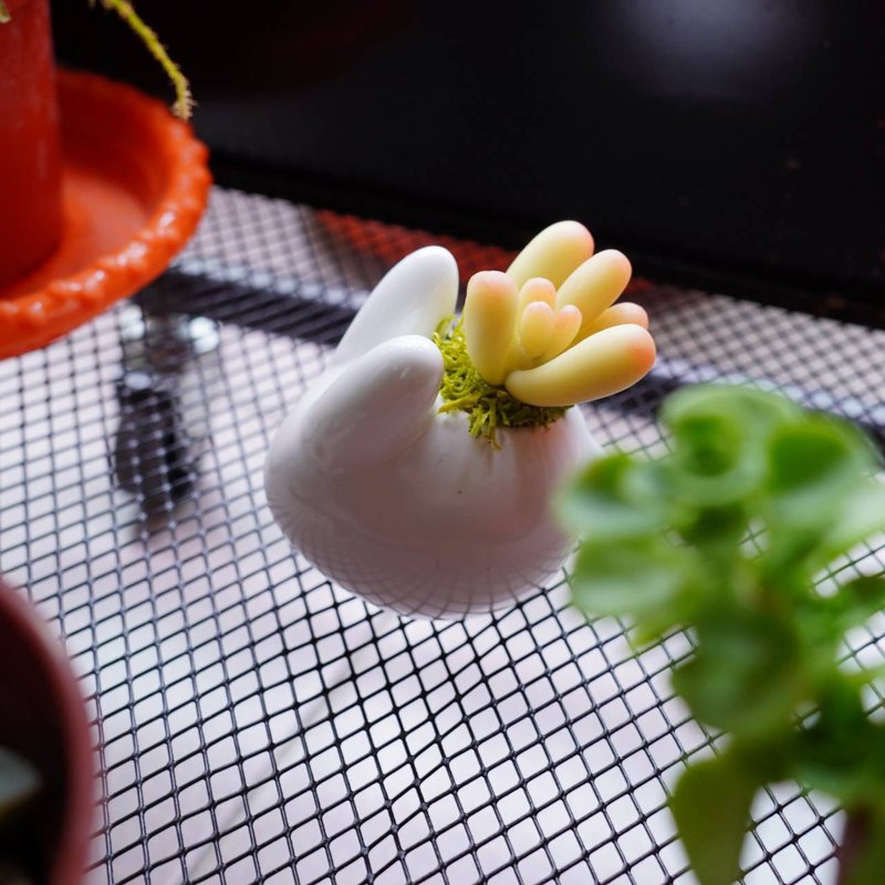 间谍多肉植物兔兔盆【黏土手作影片+材料包】 - 其他 - 其他材质 绿色
