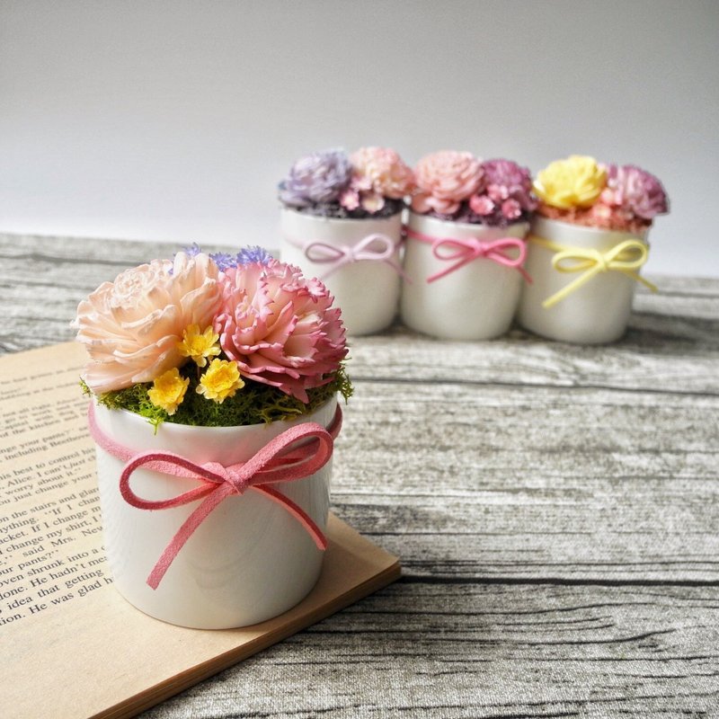 可爱疗愈 不凋干燥小桌花 (可喷香水、精油) - 植栽/盆栽 - 植物．花 多色